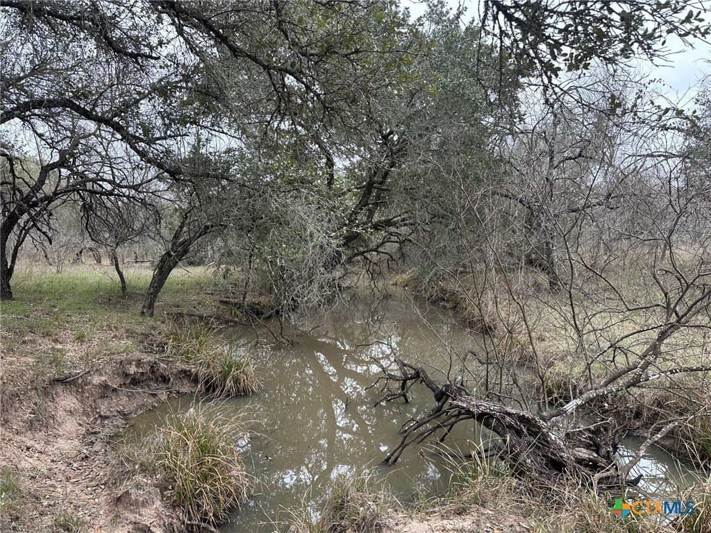 23.15 acres in Victoria County