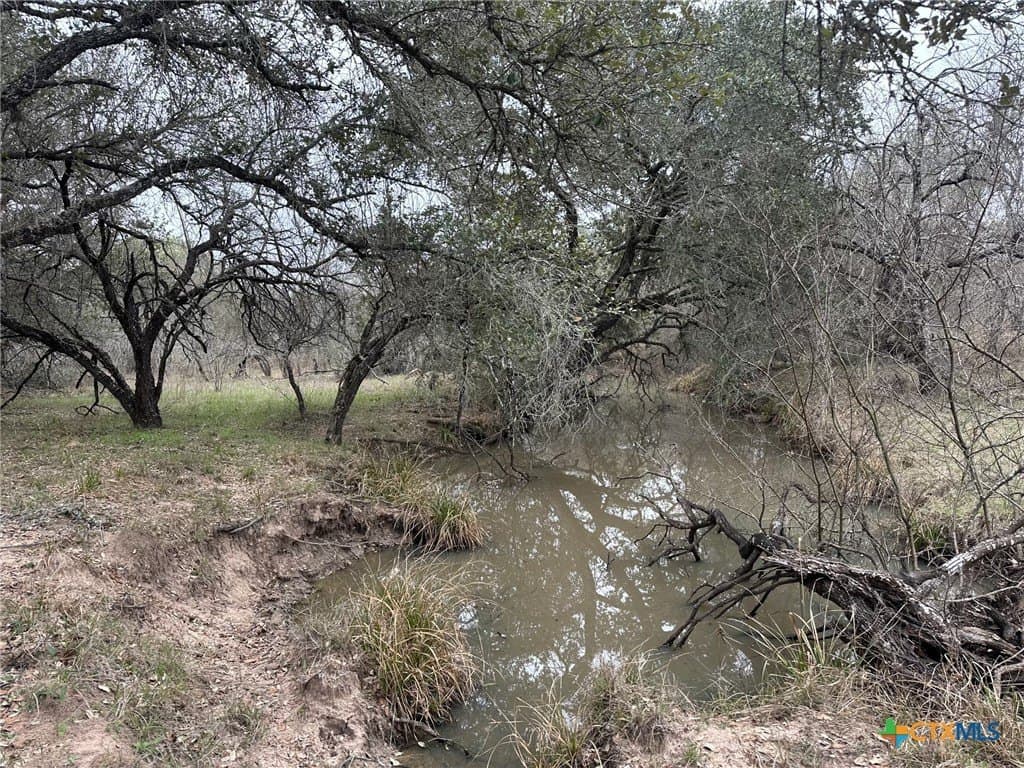 23.15 acres in Victoria County - photo 4