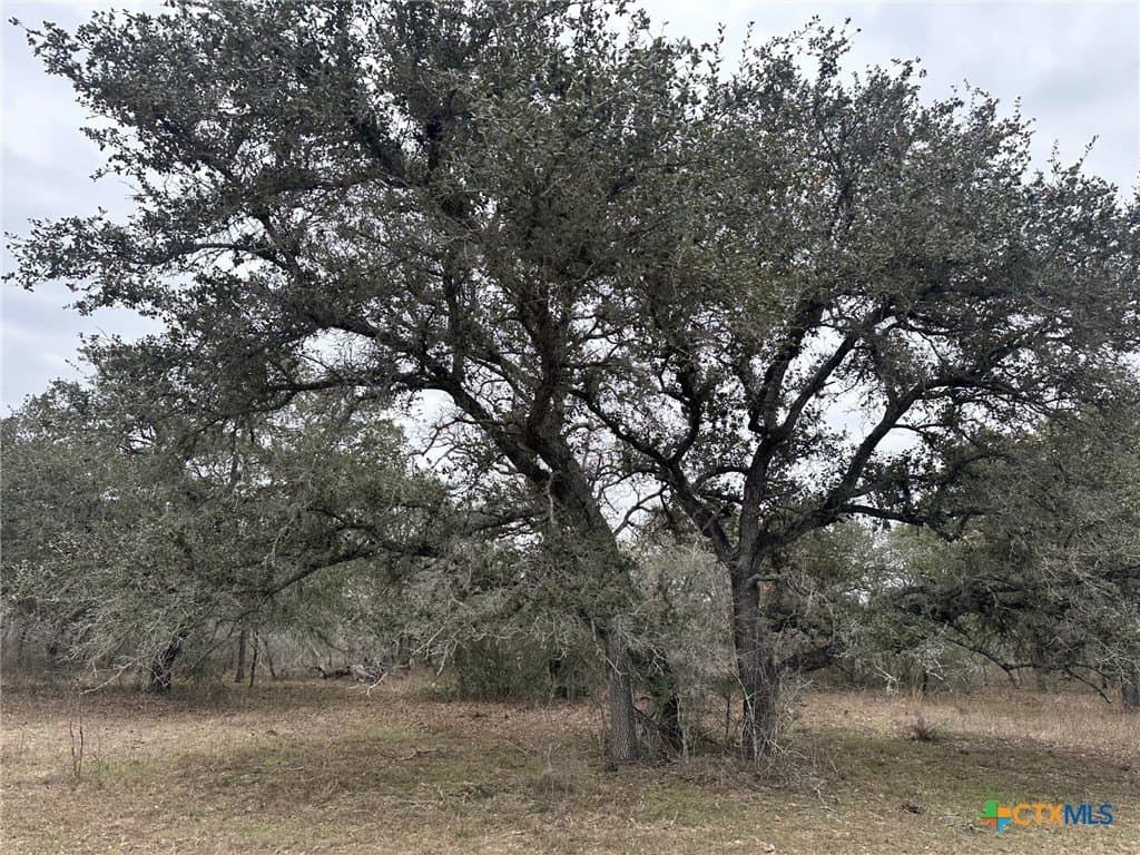 23.15 acres in Victoria County - photo 2