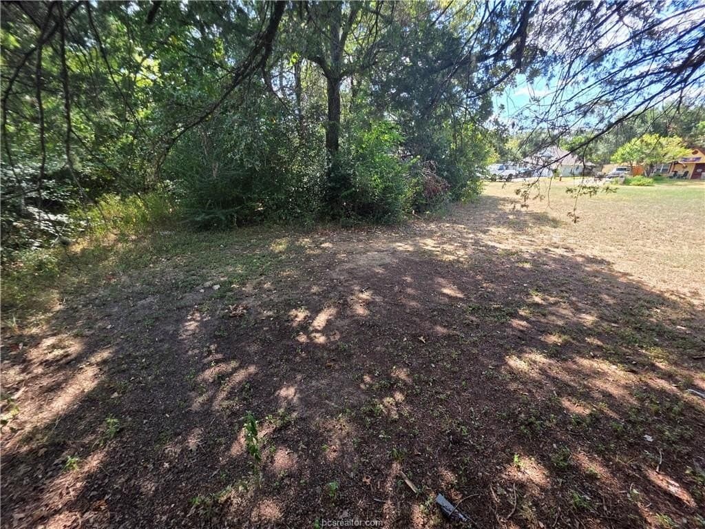 0.18 acres in Brazos County - photo 6