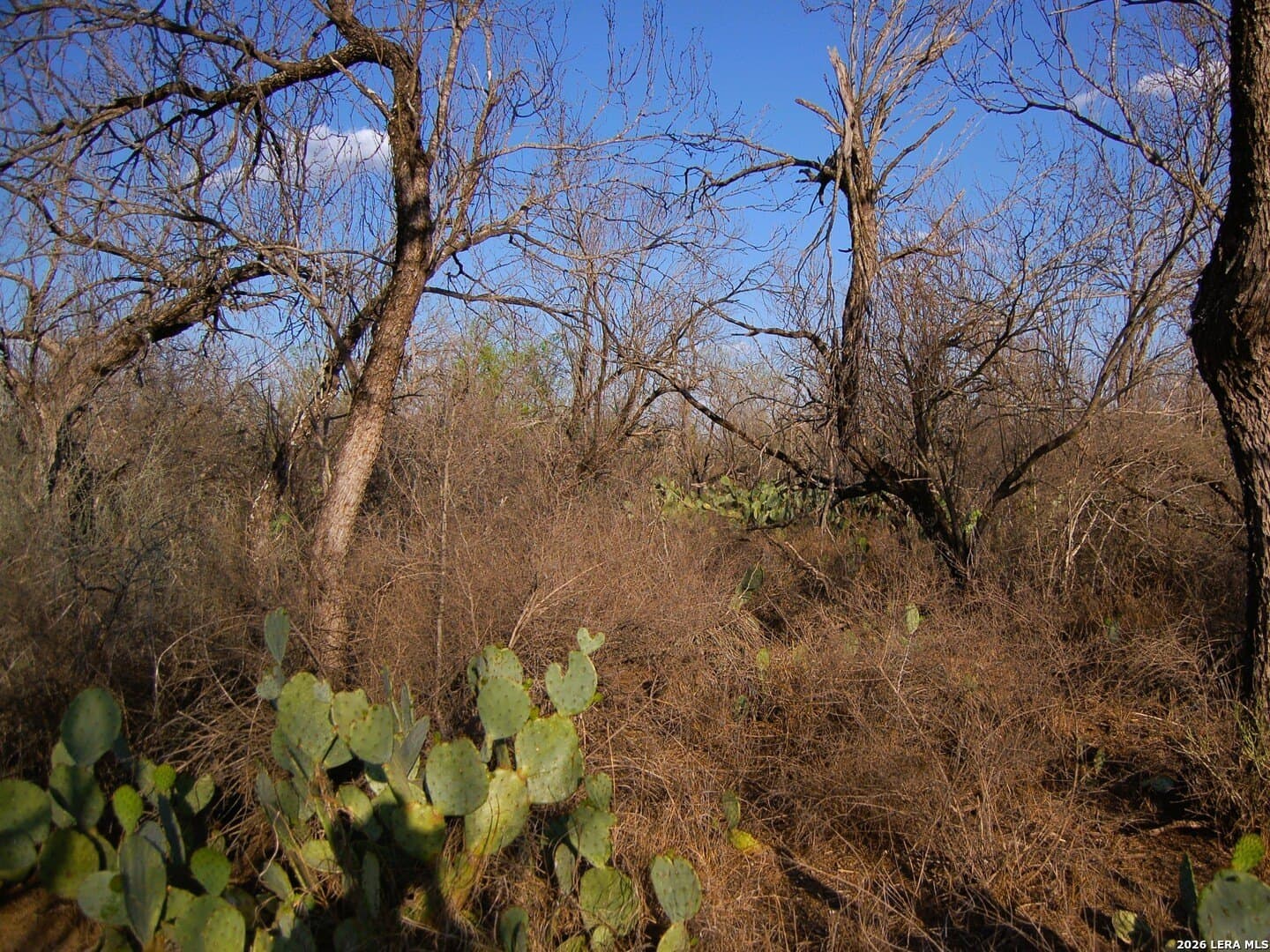 27.76 acres in Dimmit County - photo 21
