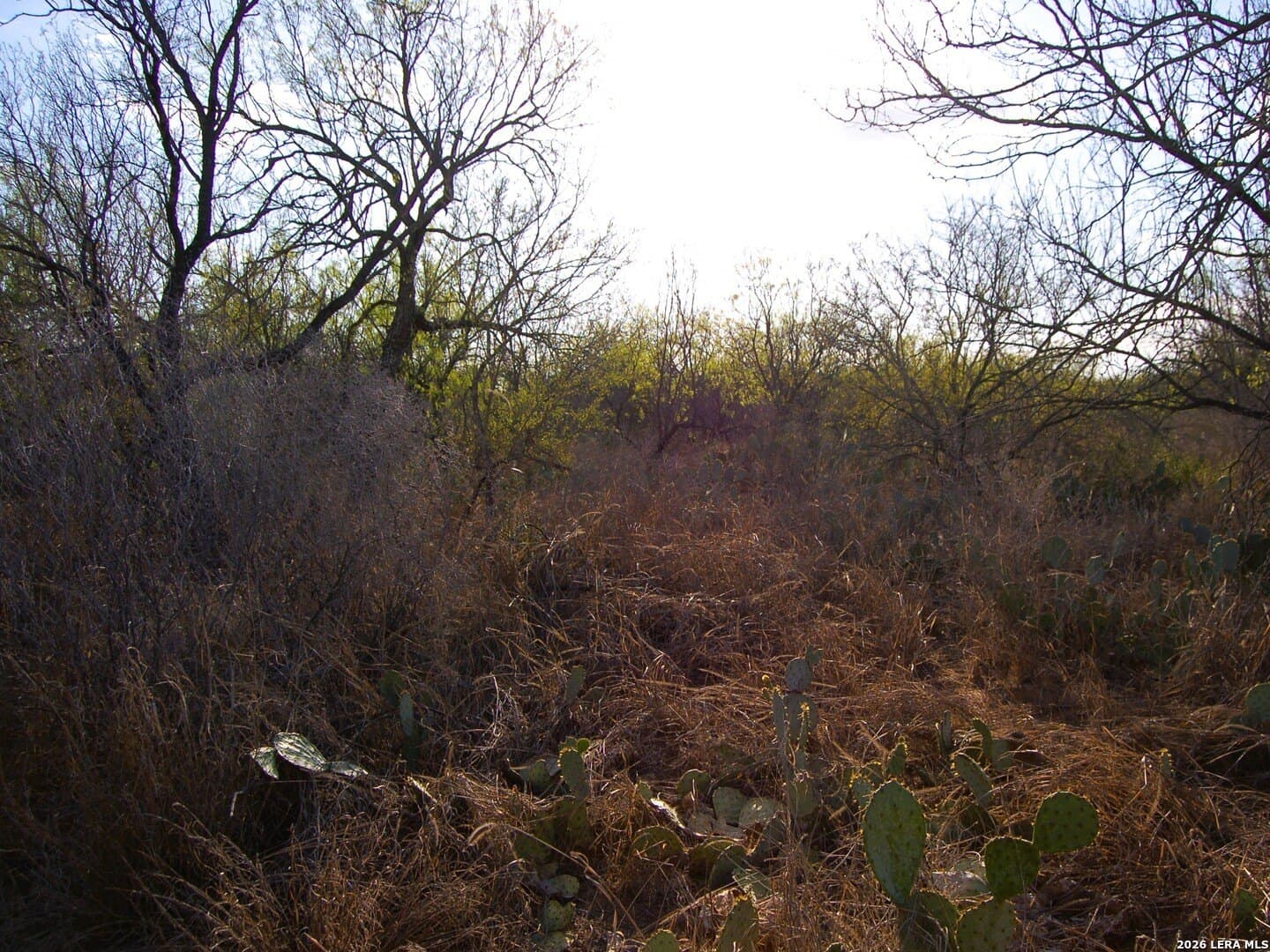 27.76 acres in Dimmit County - photo 19