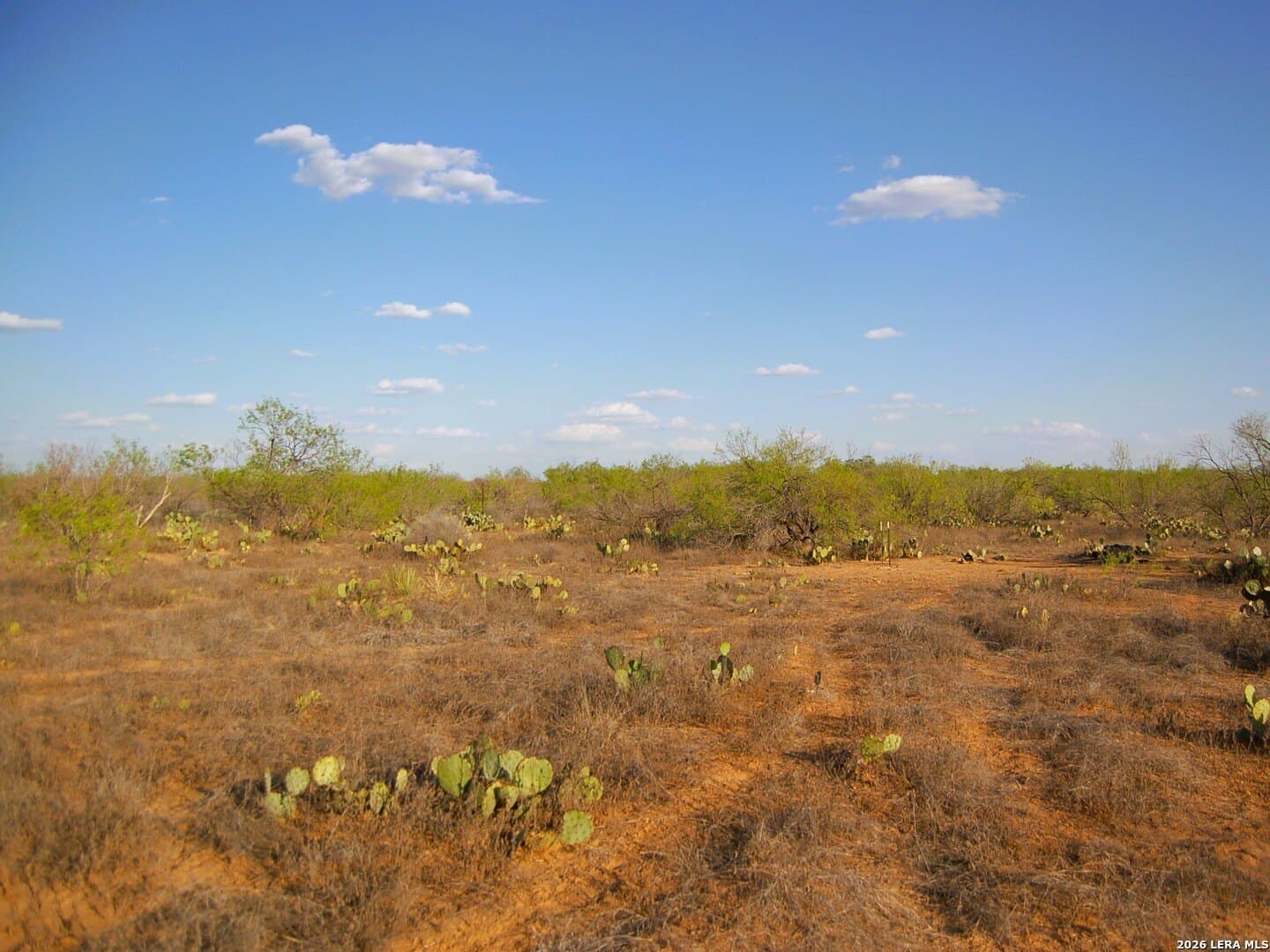 27.76 acres in Dimmit County - photo 27