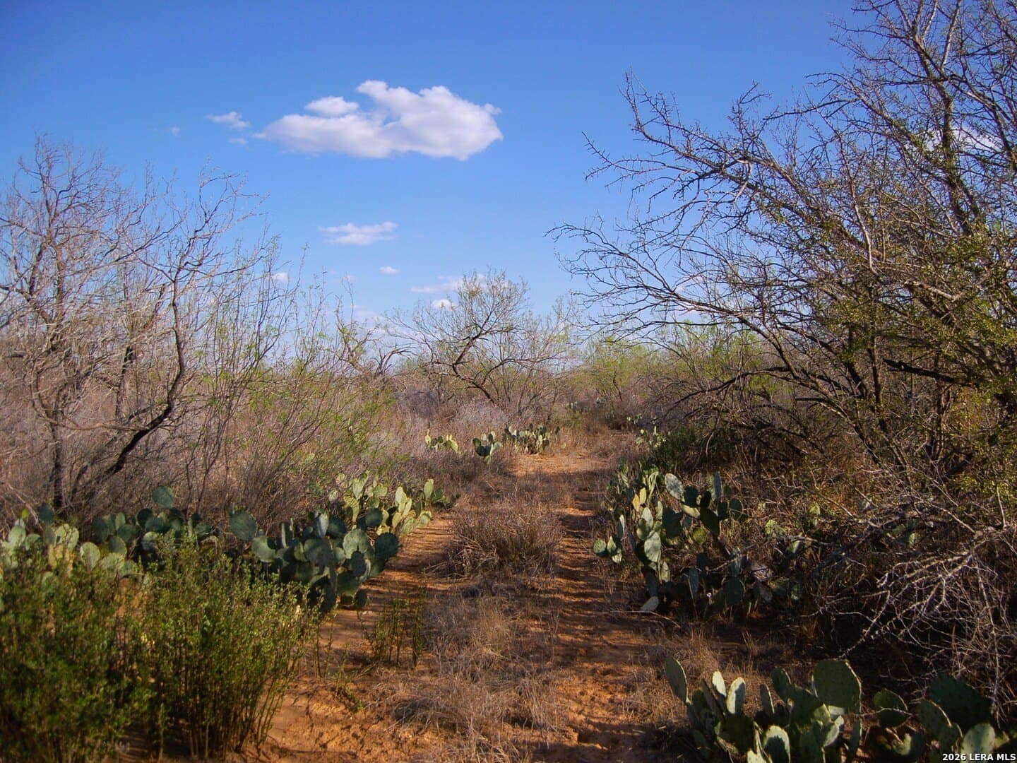 27.76 acres in Dimmit County featured view