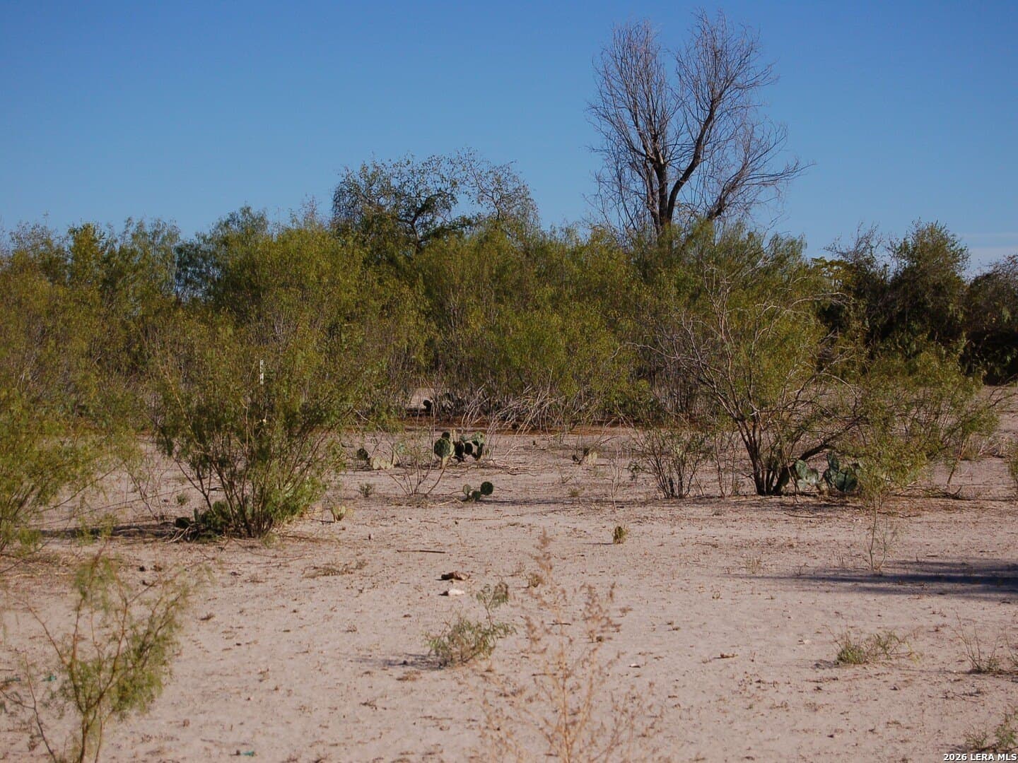 27.76 acres in Dimmit County gallery image 2