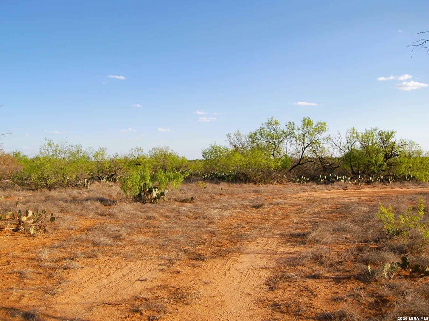 27.76 acres in Dimmit County - photo 32