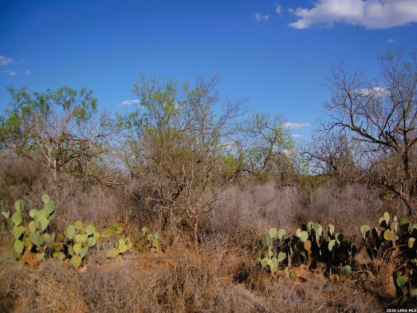 27.76 acres in Dimmit County - photo 14