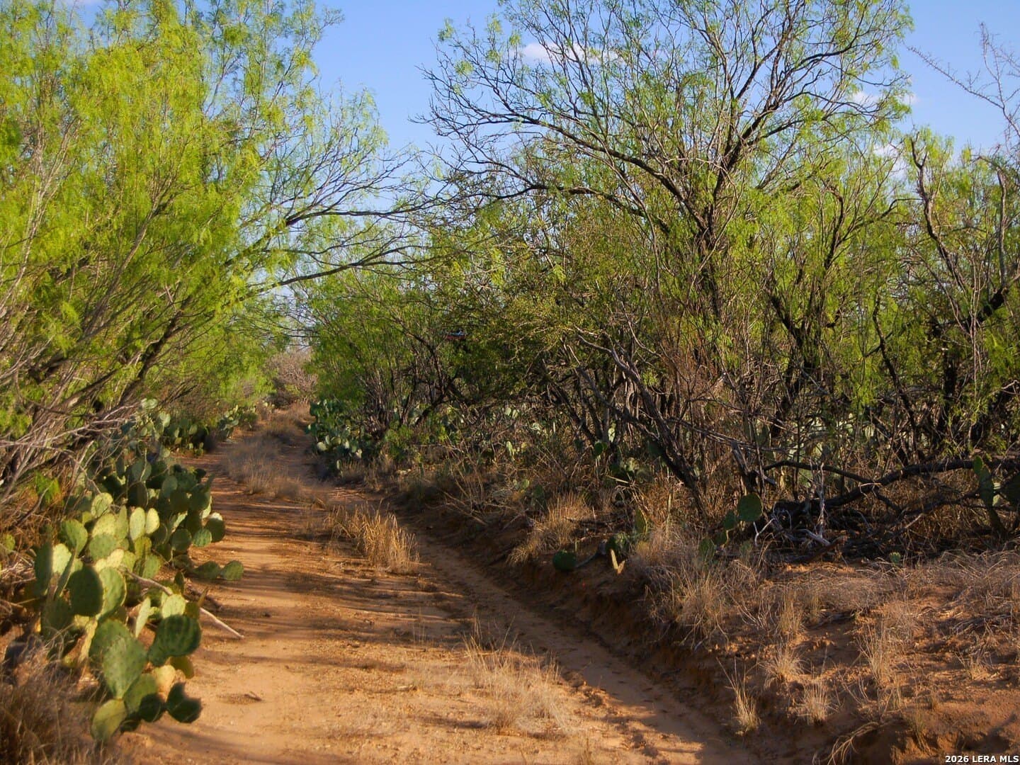 27.76 acres in Dimmit County - photo 24