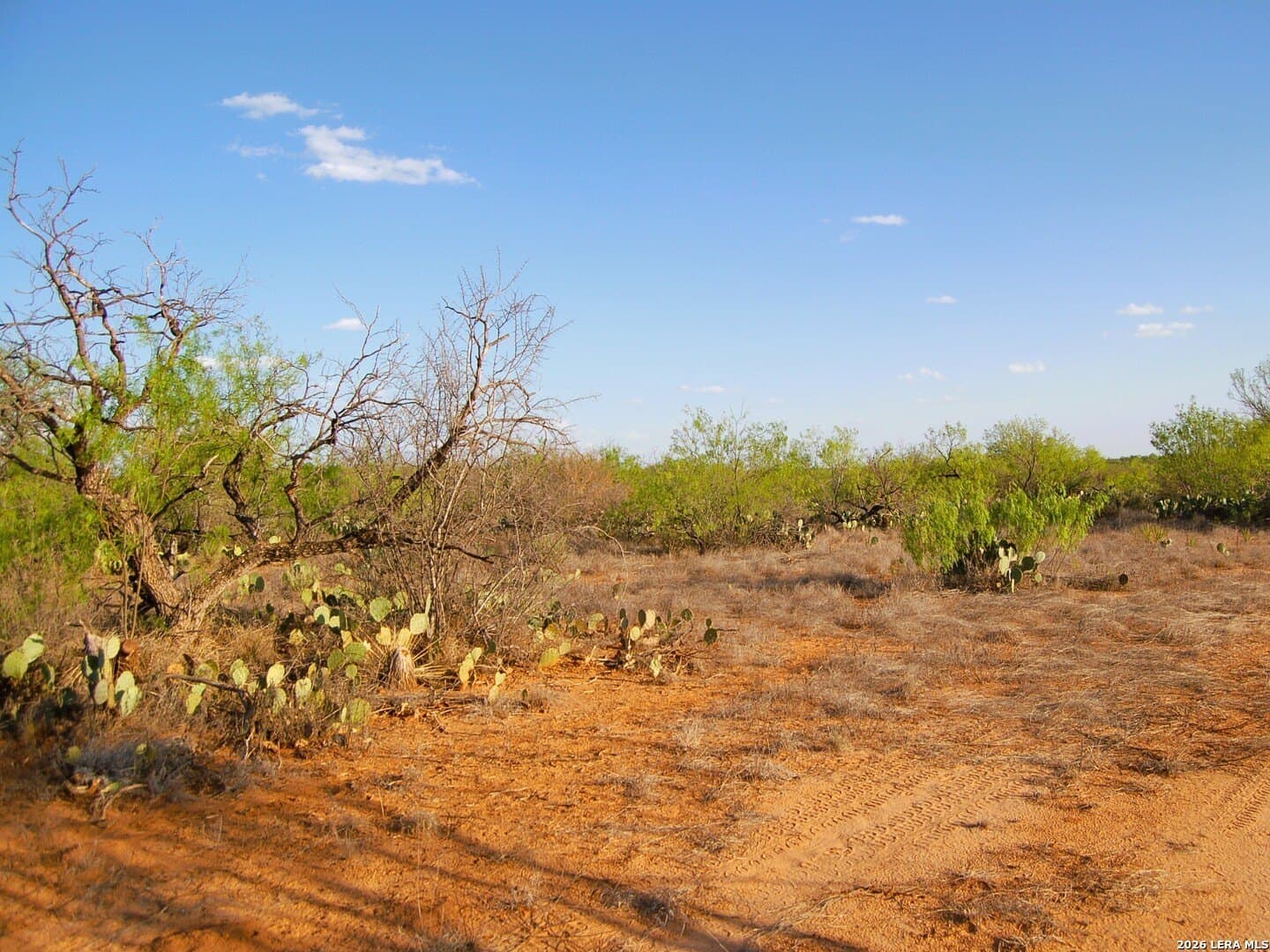 27.76 acres in Dimmit County - photo 31