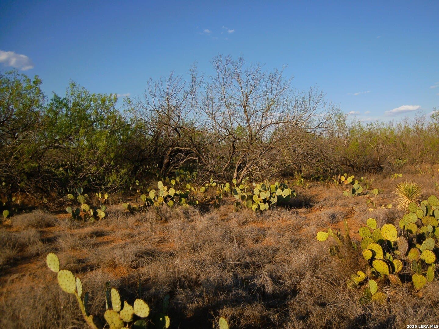 27.76 acres in Dimmit County - photo 36