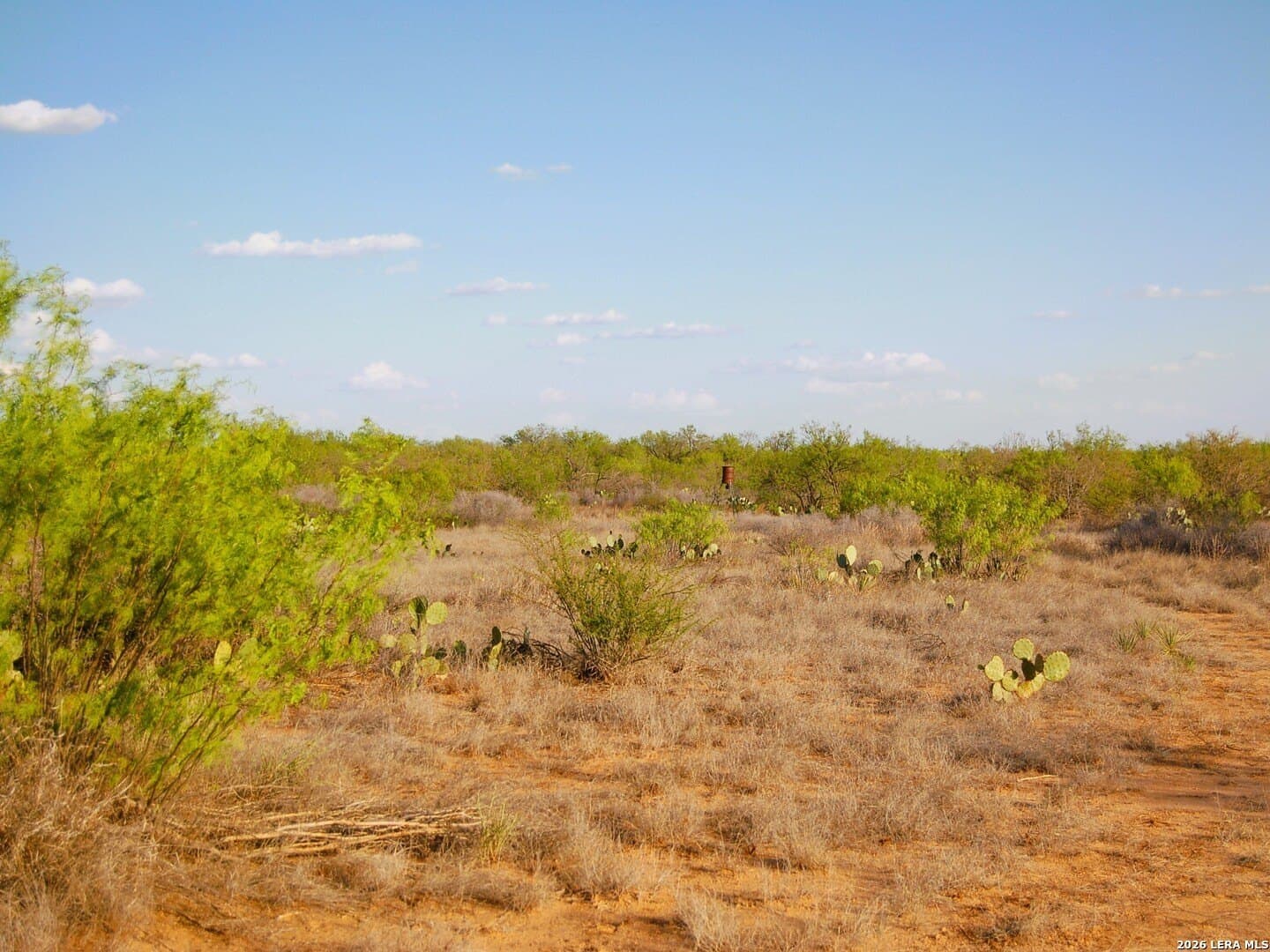 27.76 acres in Dimmit County - photo 34