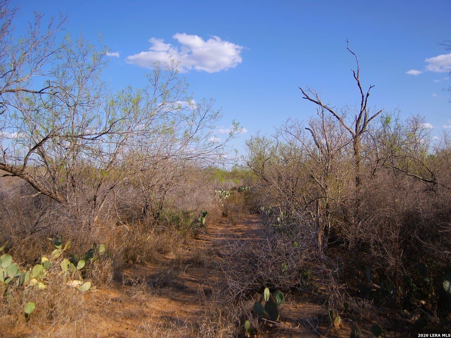 27.76 acres in Dimmit County - photo 7