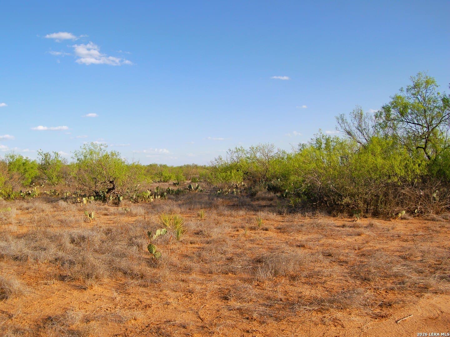 27.76 acres in Dimmit County - photo 33
