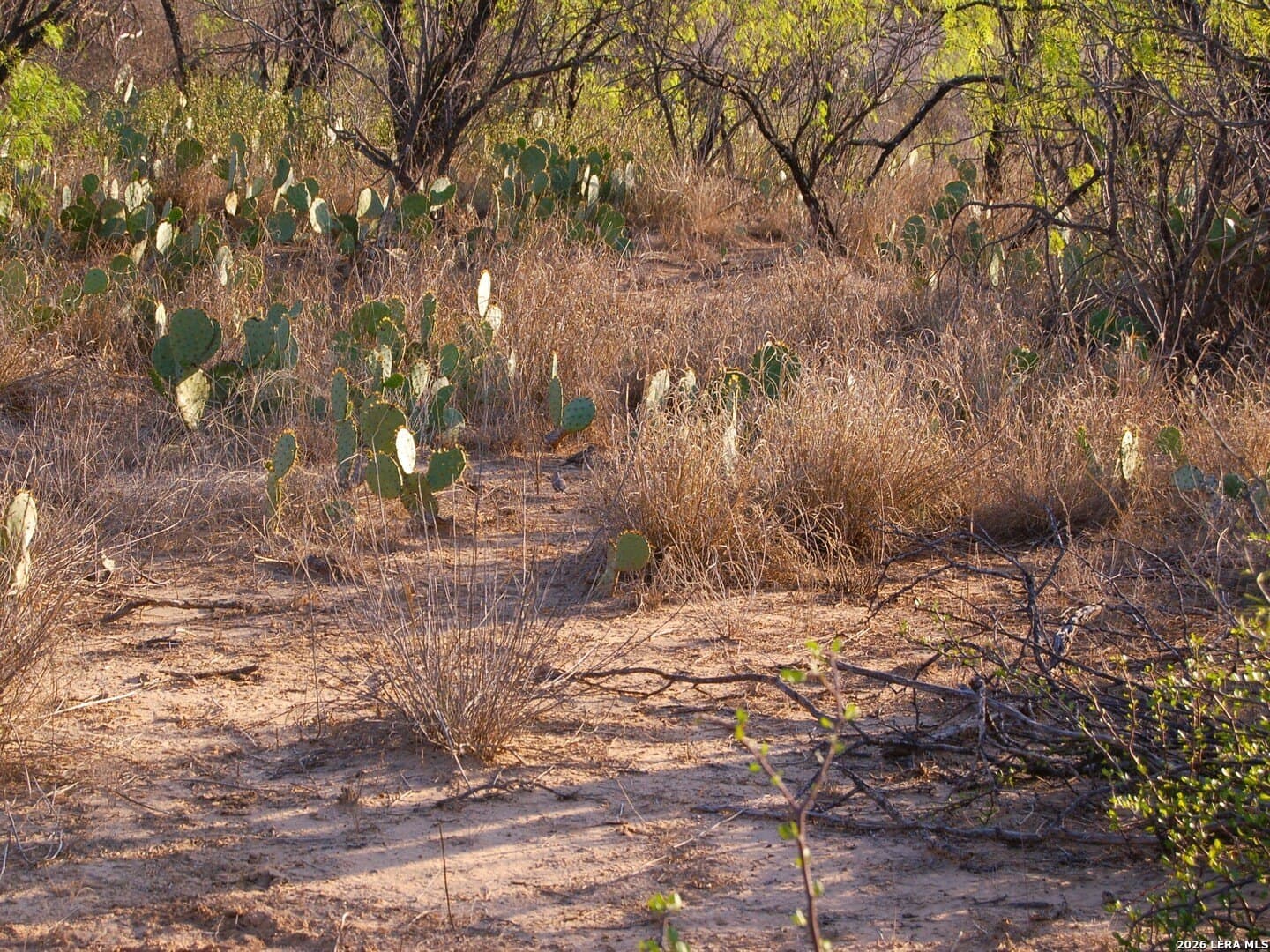 27.76 acres in Dimmit County - photo 37