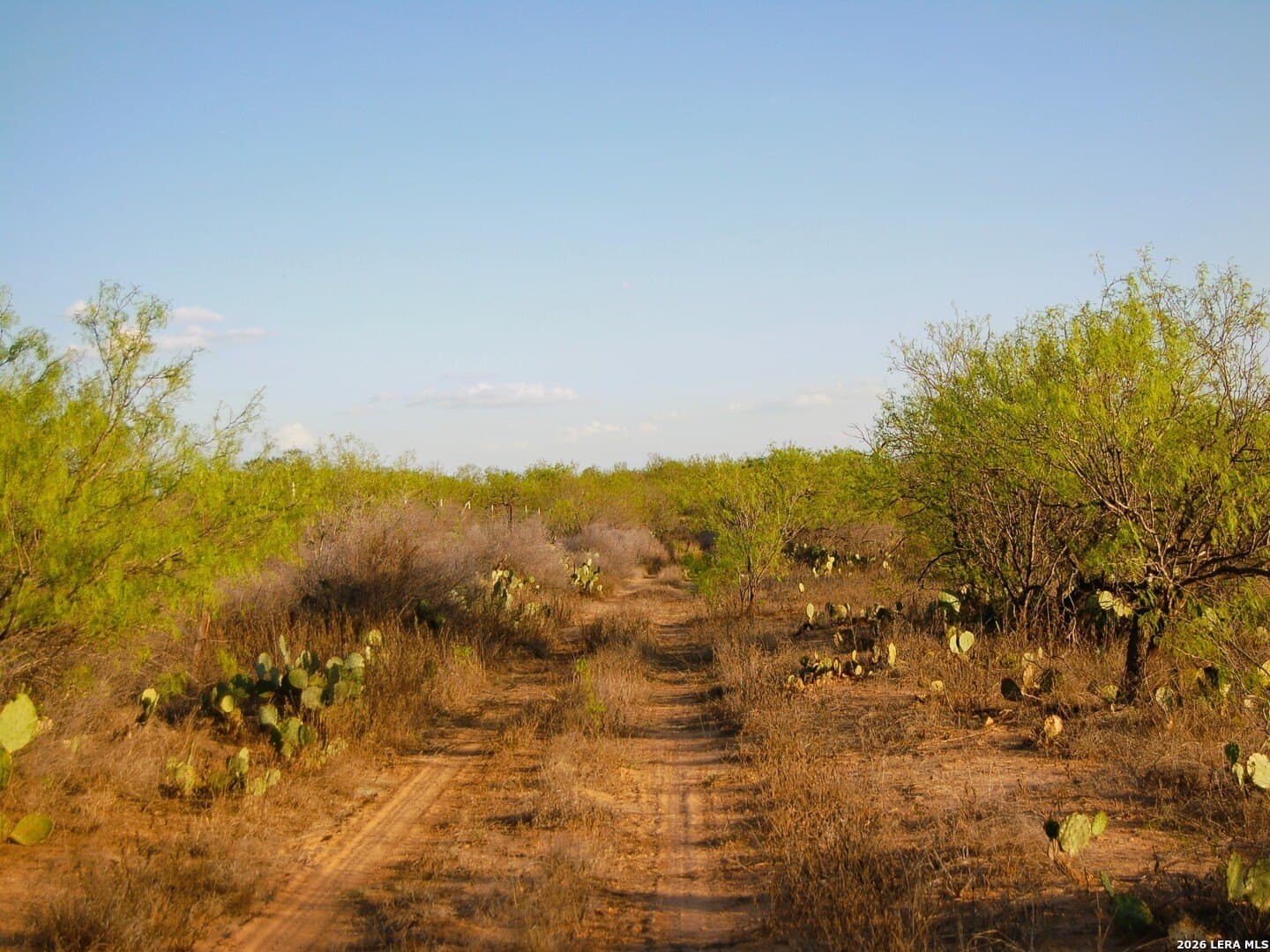 27.76 acres in Dimmit County - photo 40