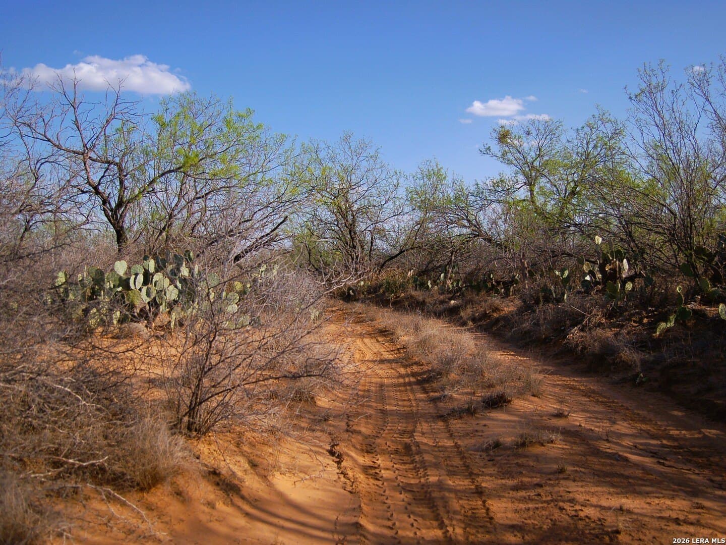 27.76 acres in Dimmit County gallery image 4