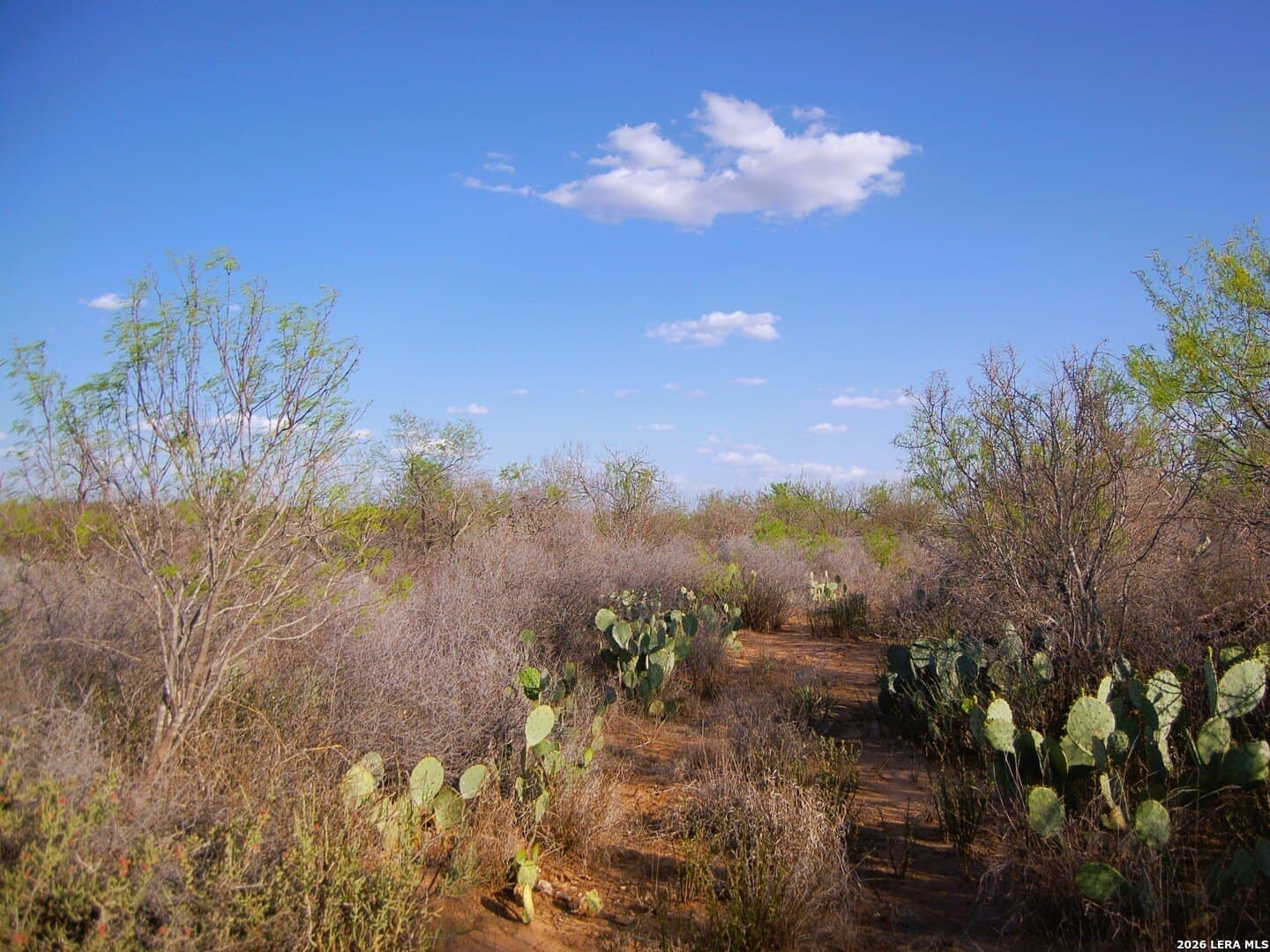 27.76 acres in Dimmit County - photo 9