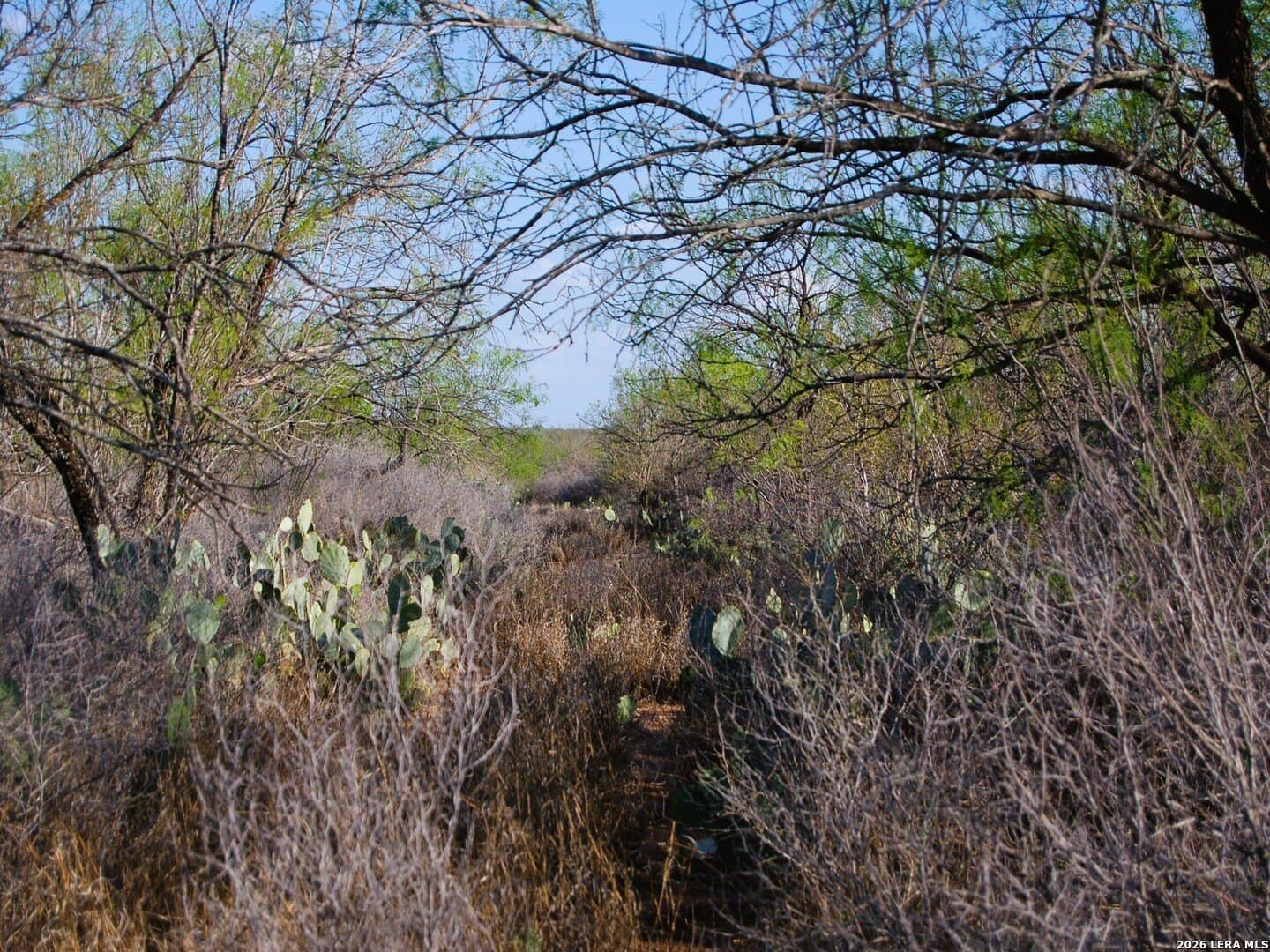 27.76 acres in Dimmit County - photo 12
