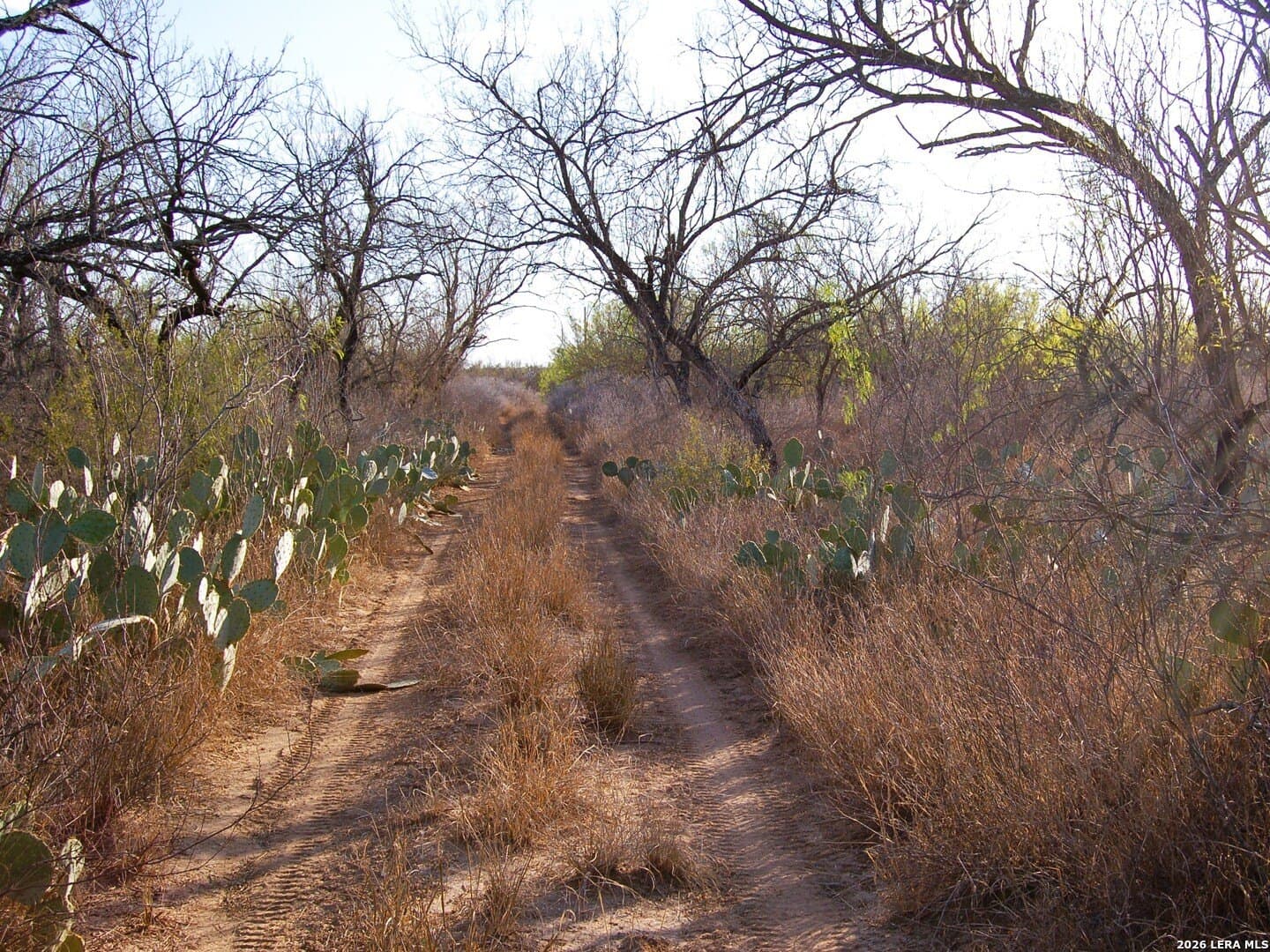 27.76 acres in Dimmit County - photo 17