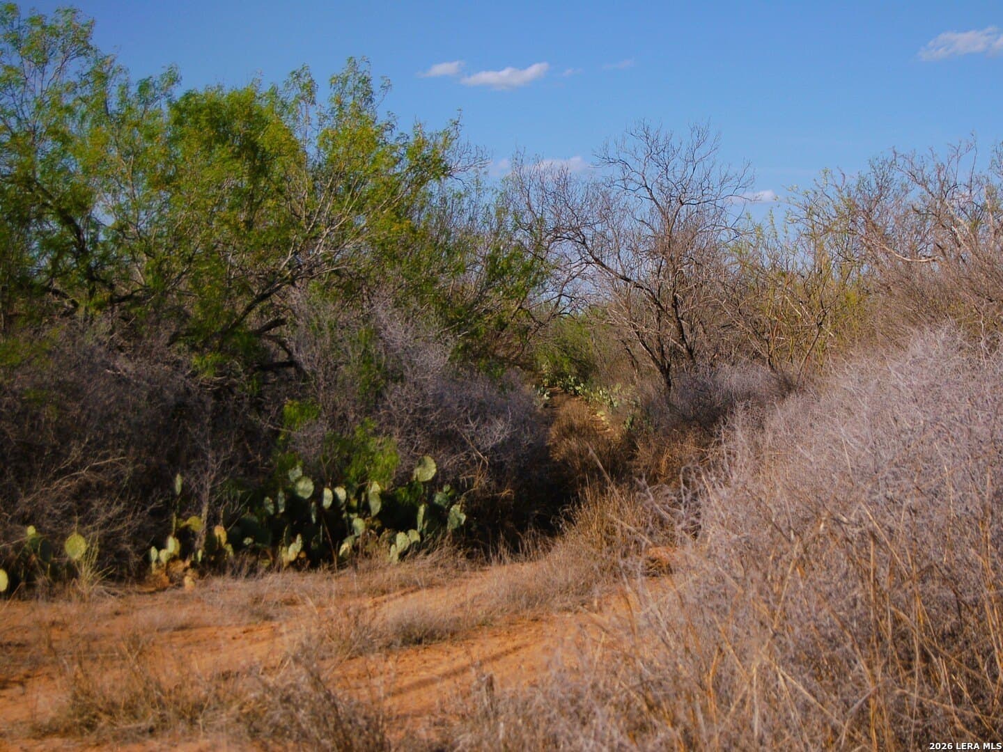 27.76 acres in Dimmit County - photo 13