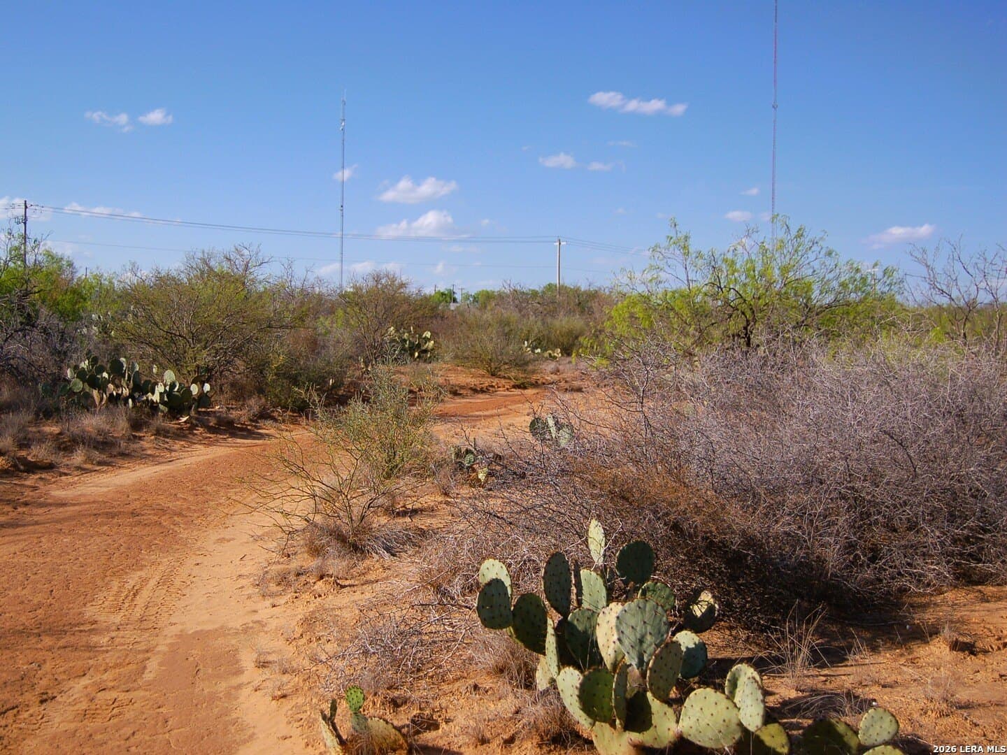 27.76 acres in Dimmit County gallery image 3