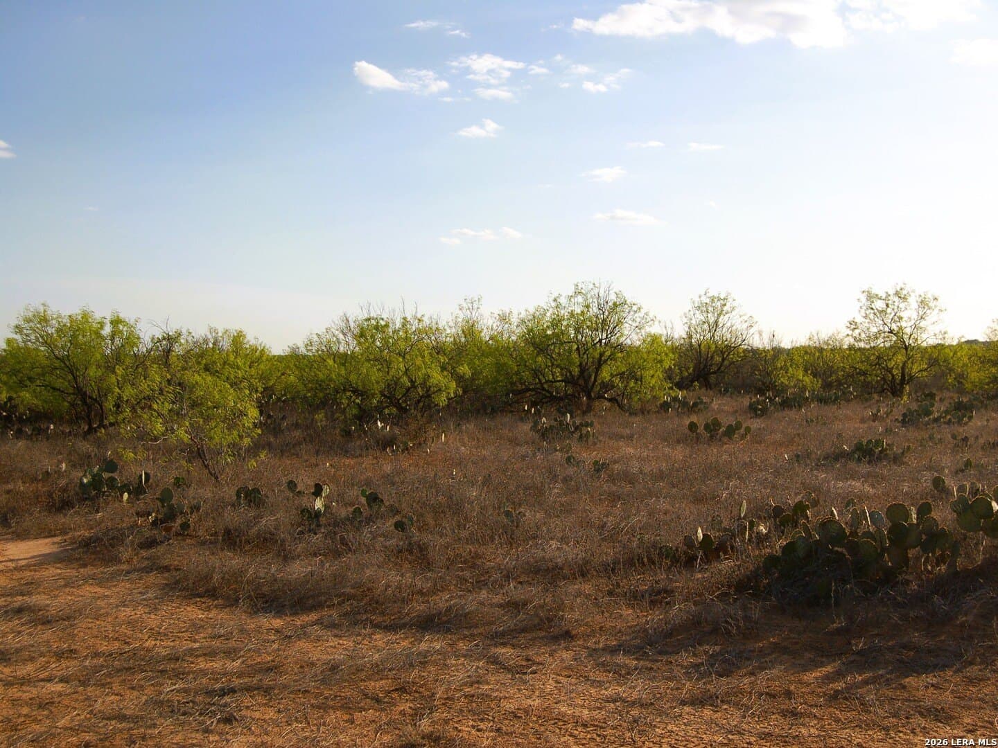 27.76 acres in Dimmit County - photo 26