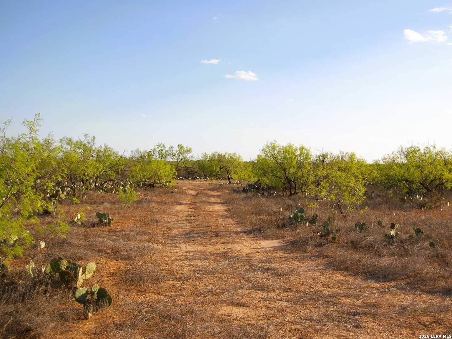 27.76 acres in Dimmit County - photo 25