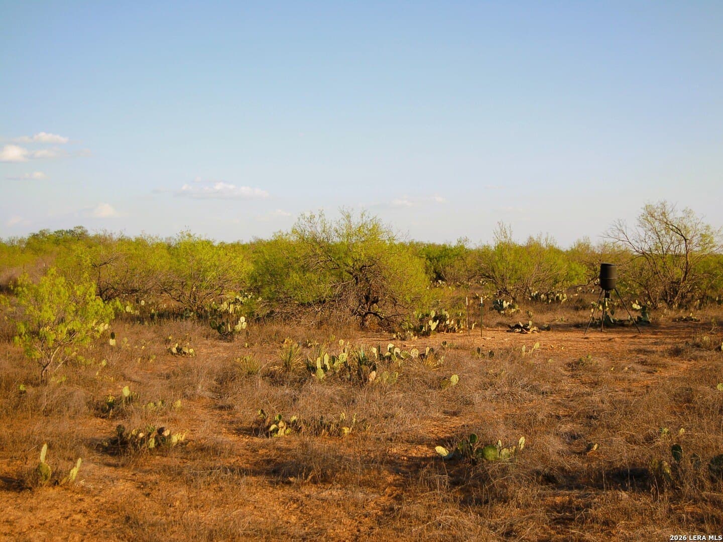 27.76 acres in Dimmit County - photo 39