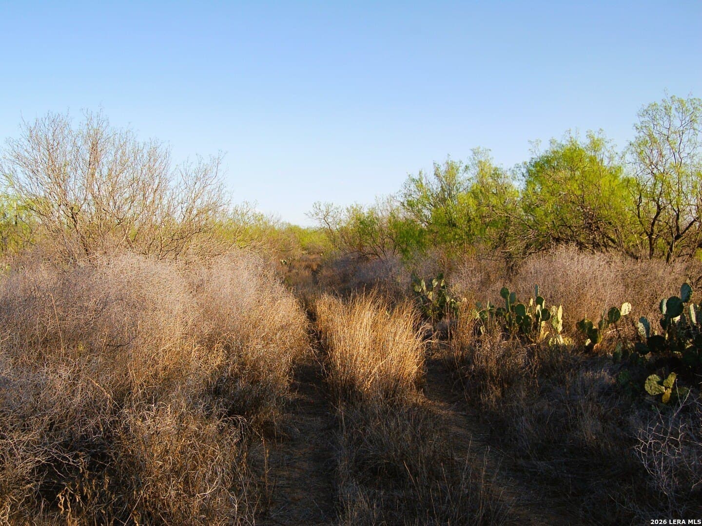 27.76 acres in Dimmit County - photo 41