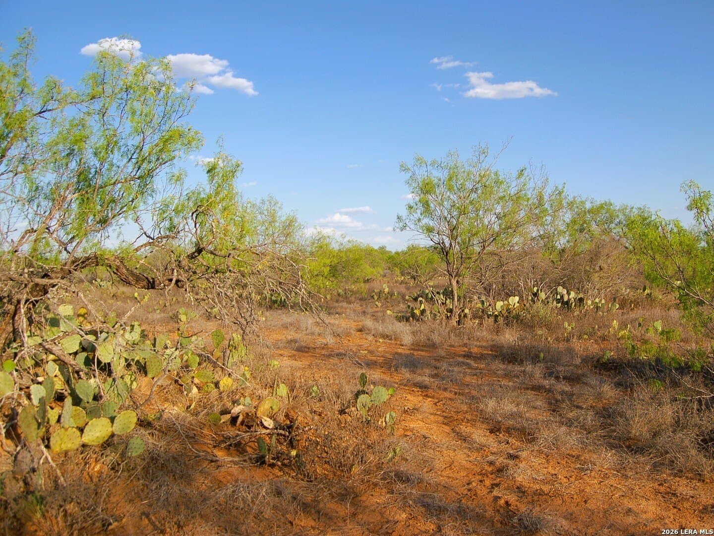 27.76 acres in Dimmit County - photo 30