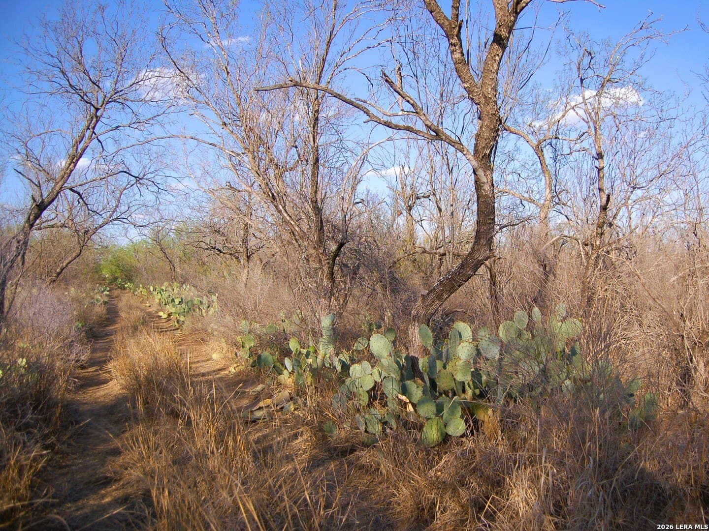 27.76 acres in Dimmit County - photo 20