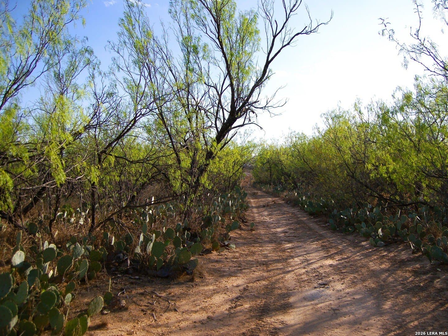 27.76 acres in Dimmit County - photo 15