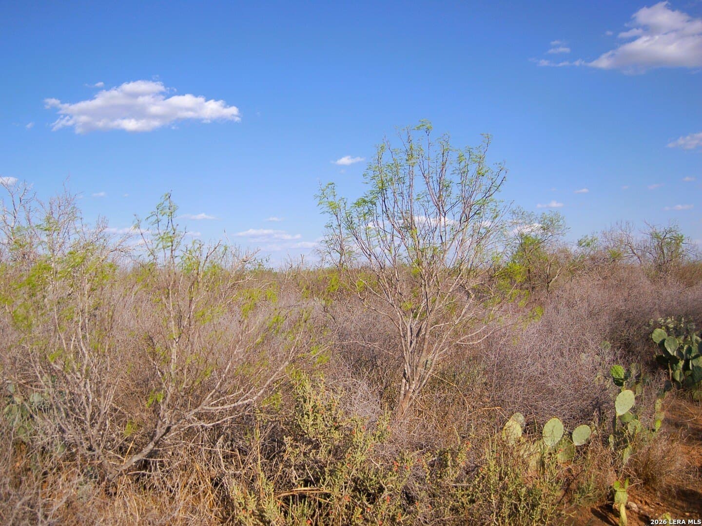 27.76 acres in Dimmit County - photo 10