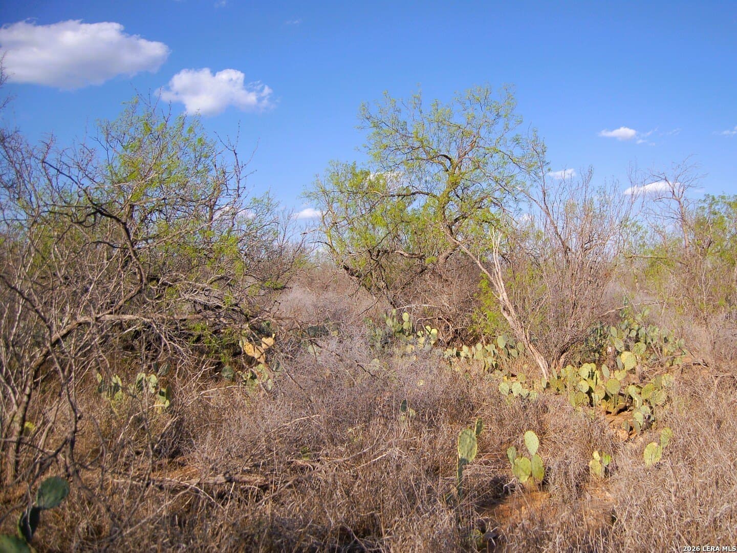 27.76 acres in Dimmit County - photo 6