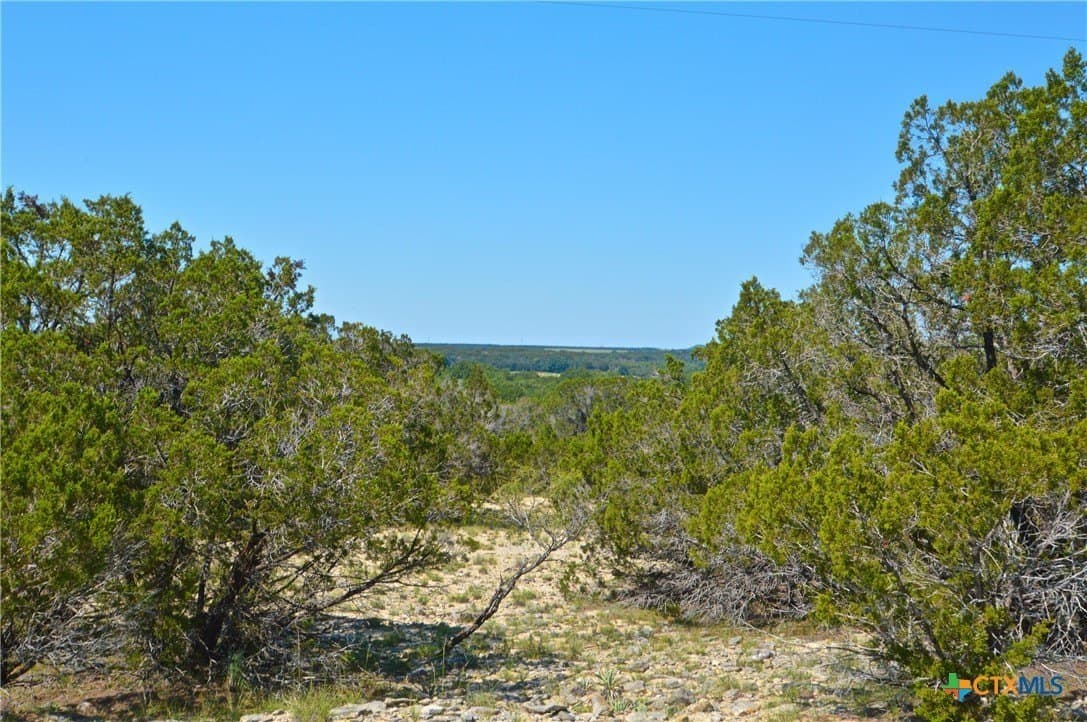 21.2 acres in Lampasas County gallery image 4