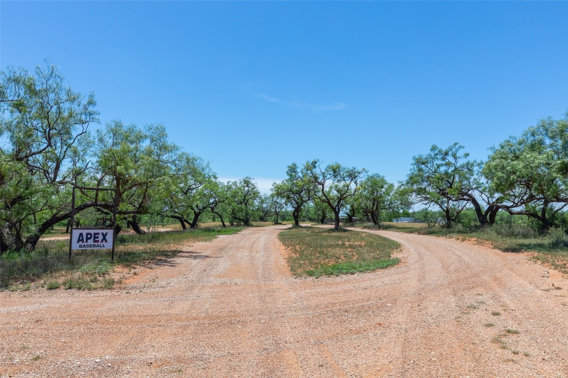12.04 acres in Taylor County - photo 40