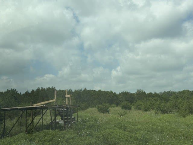 40 acres in Hamilton County - photo 35