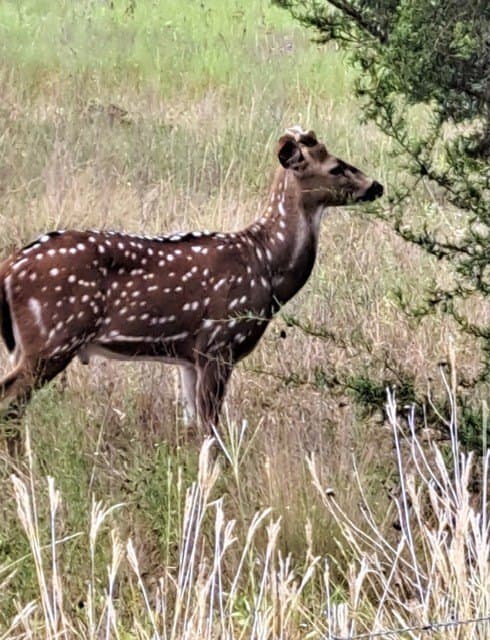 40 acres in Hamilton County - photo 18