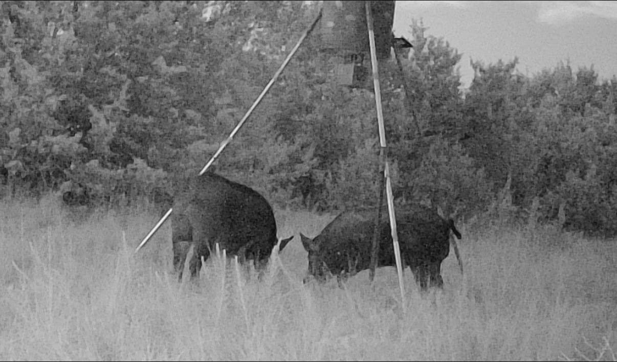 40 acres in Hamilton County - photo 16