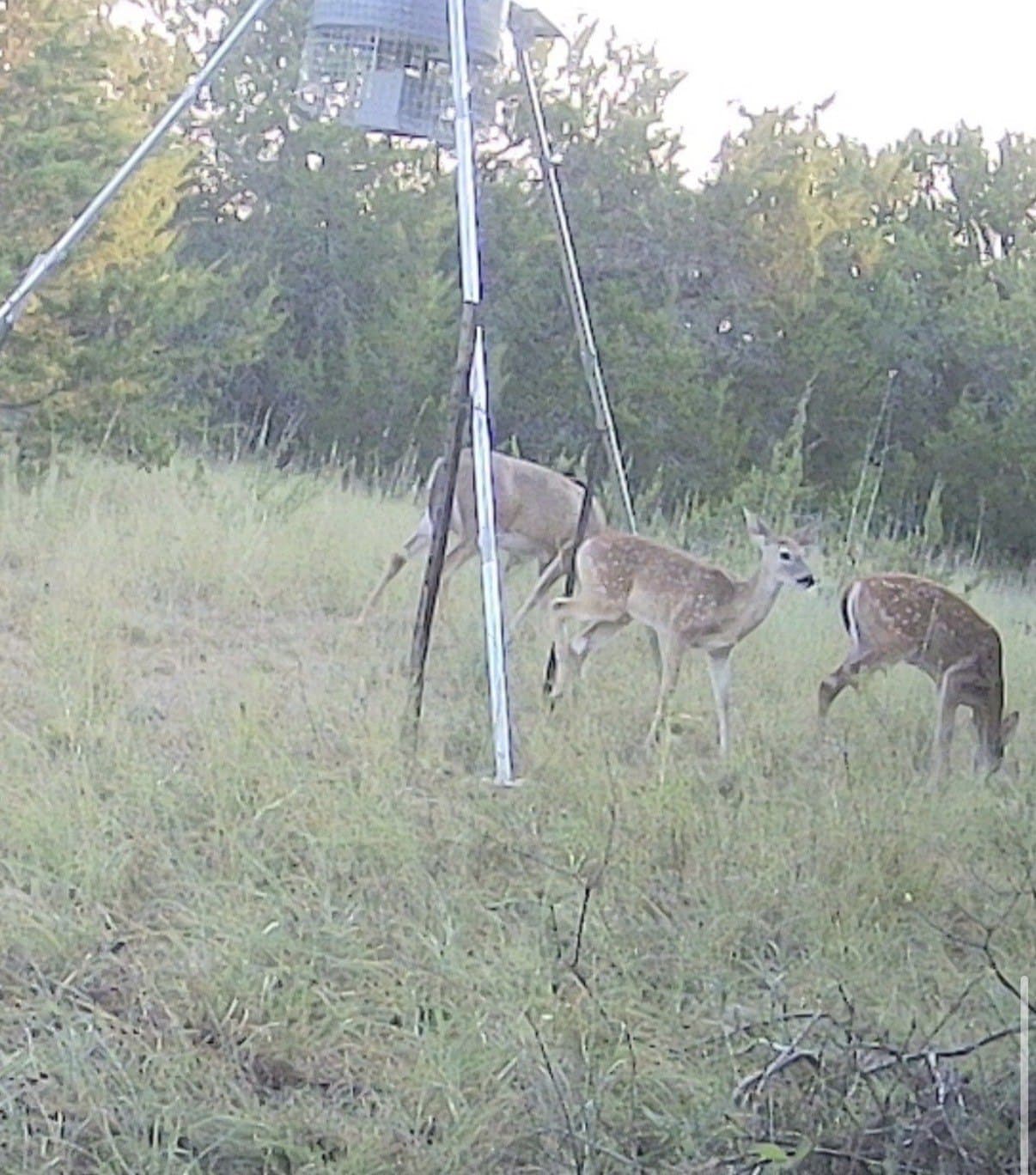 40 acres in Hamilton County - photo 17