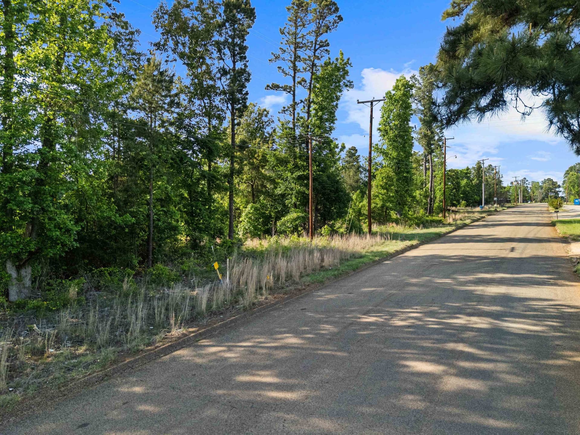 10 acres in Texas County - photo 21