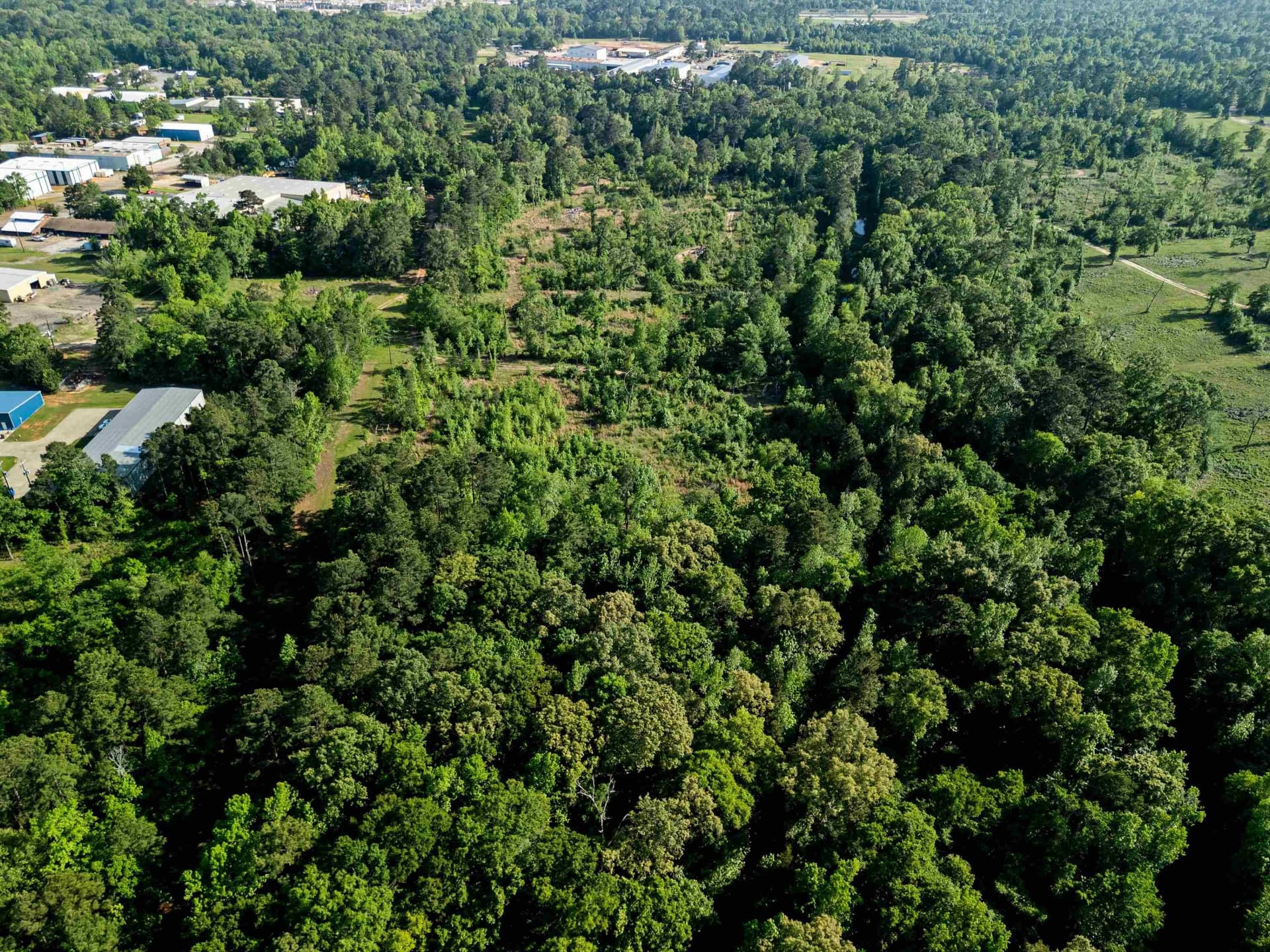 10 acres in Texas County - photo 15
