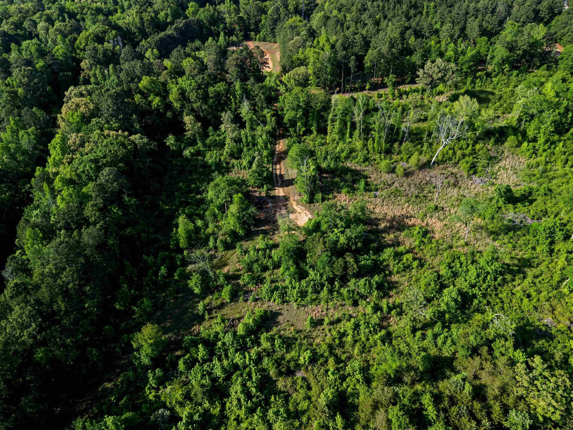 10 acres in Texas County - photo 13