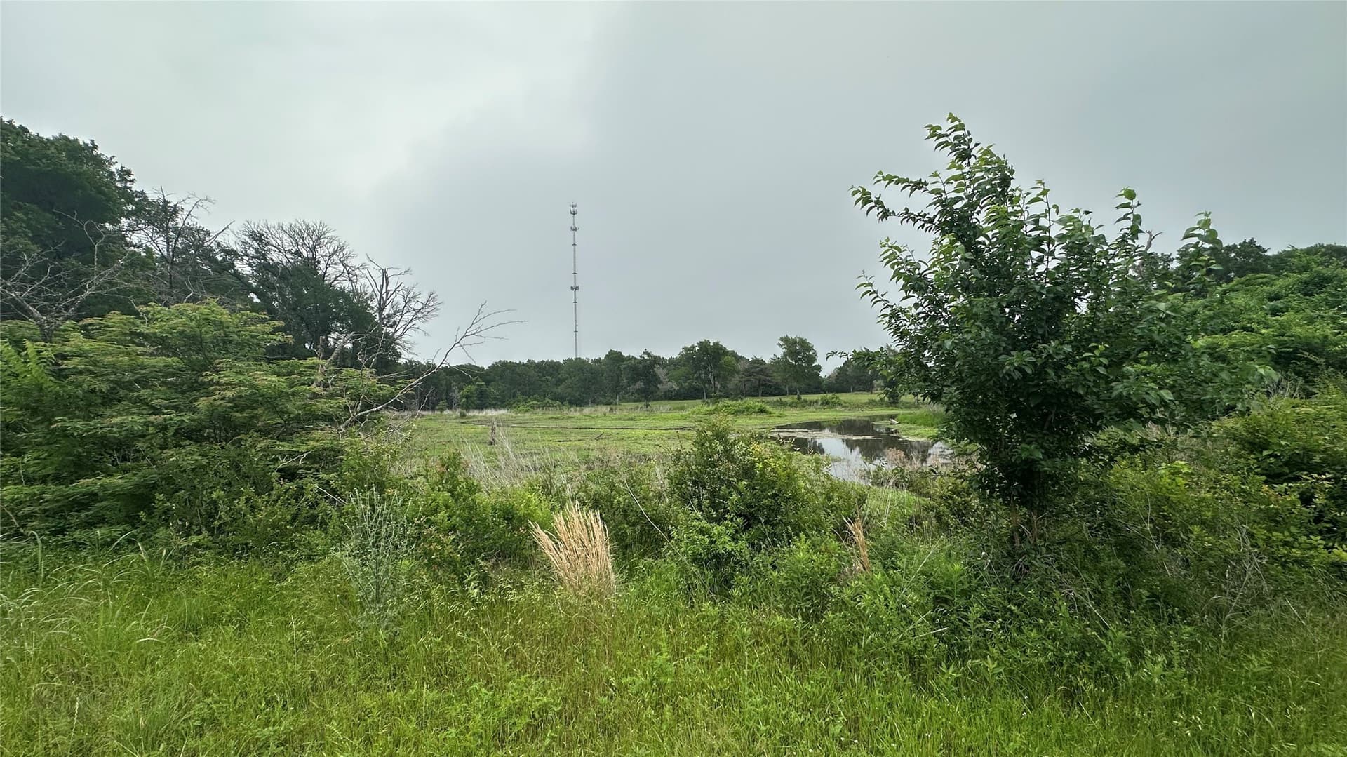20.29 acres in Limestone County - photo 32