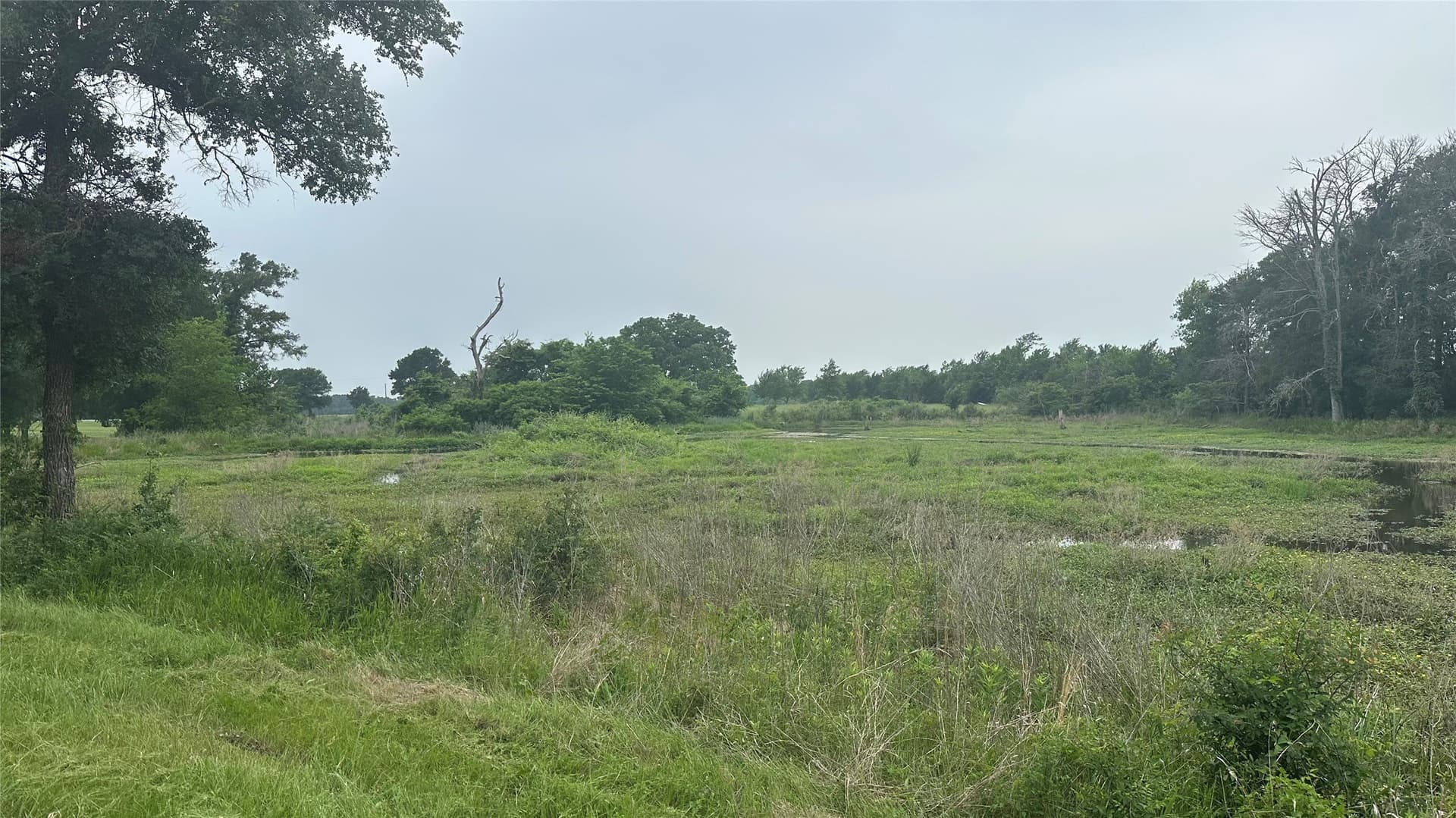 20.29 acres in Limestone County - photo 28