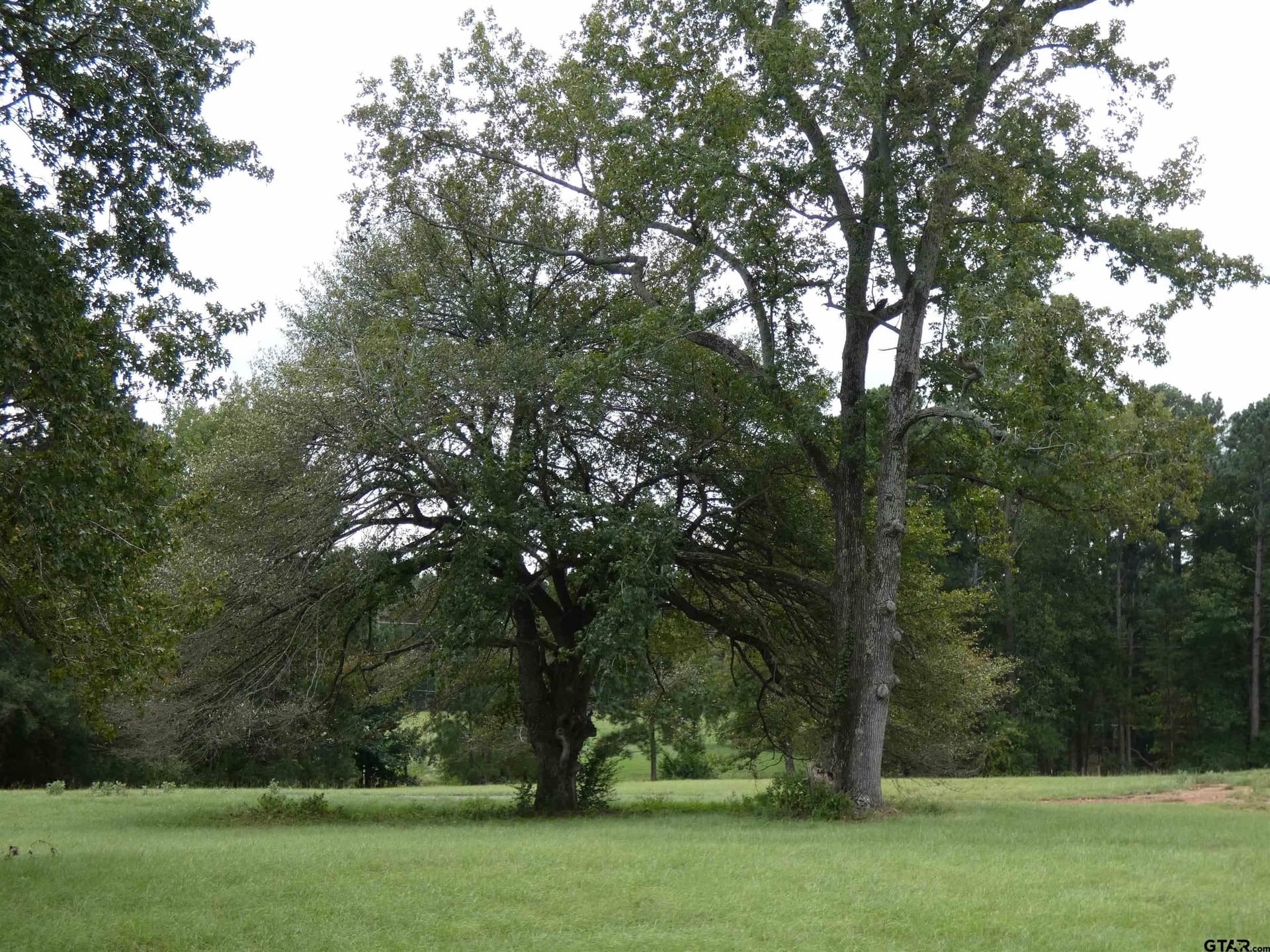 4.1 acres in Morris County - photo 11