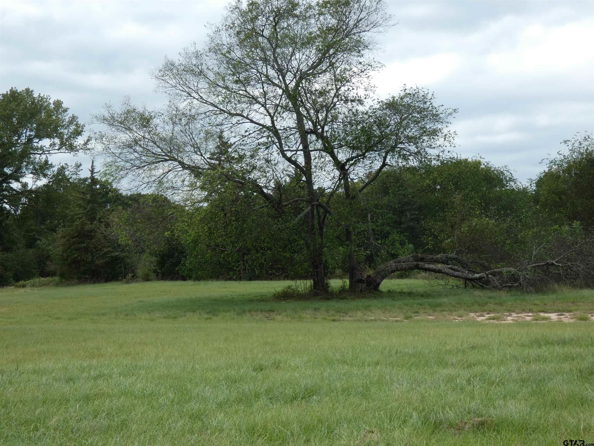 4.1 acres in Morris County - photo 13
