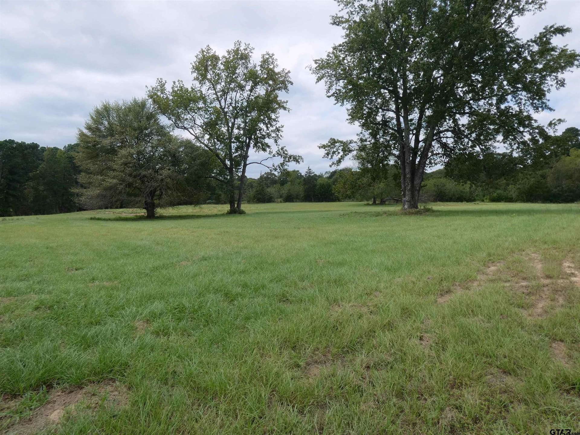 4.1 acres in Morris County - photo 7