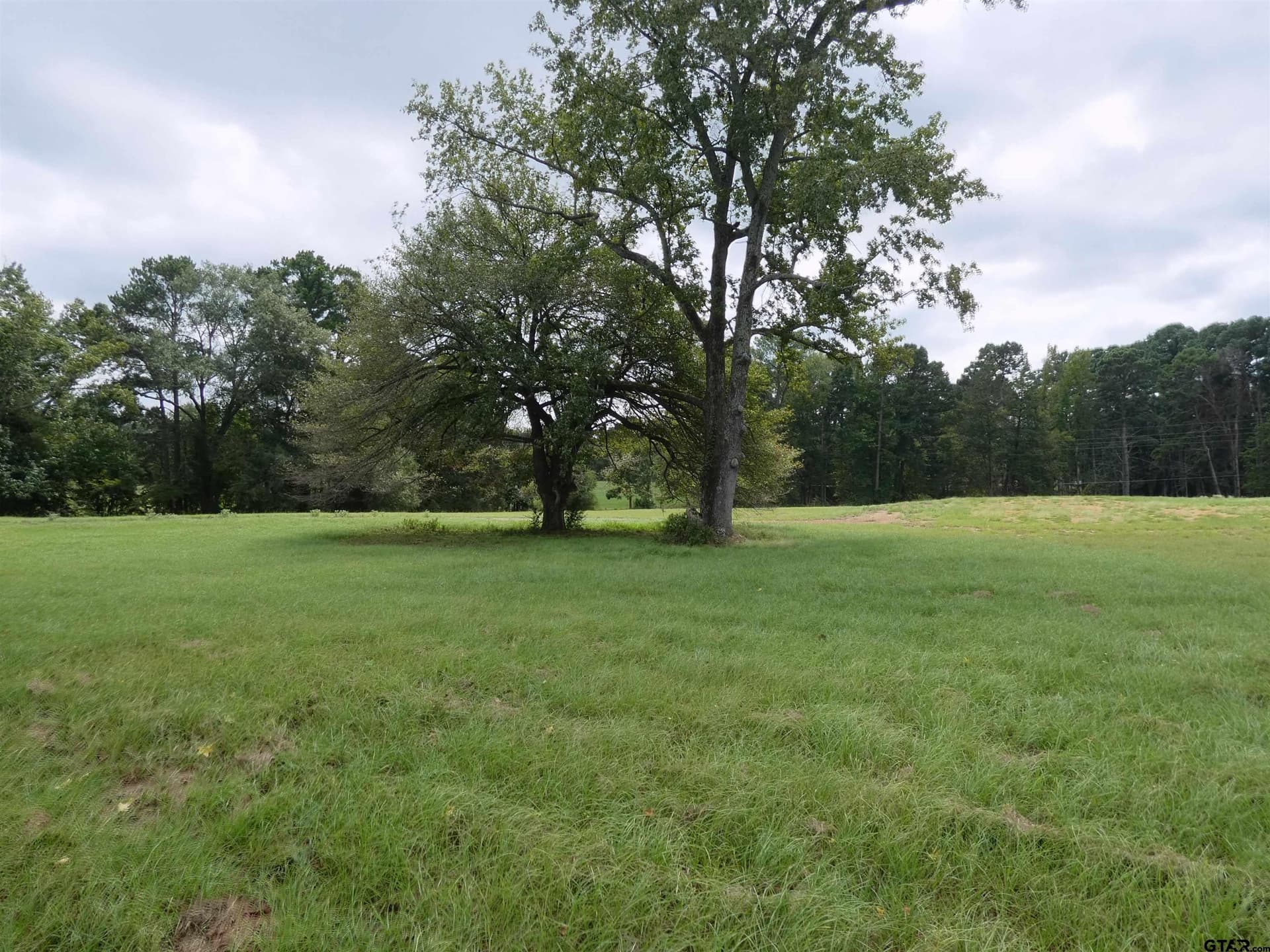 4.1 acres in Morris County - photo 12