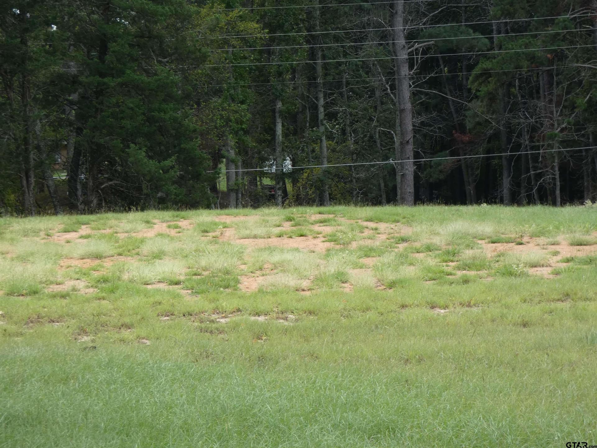 4.1 acres in Morris County - photo 4